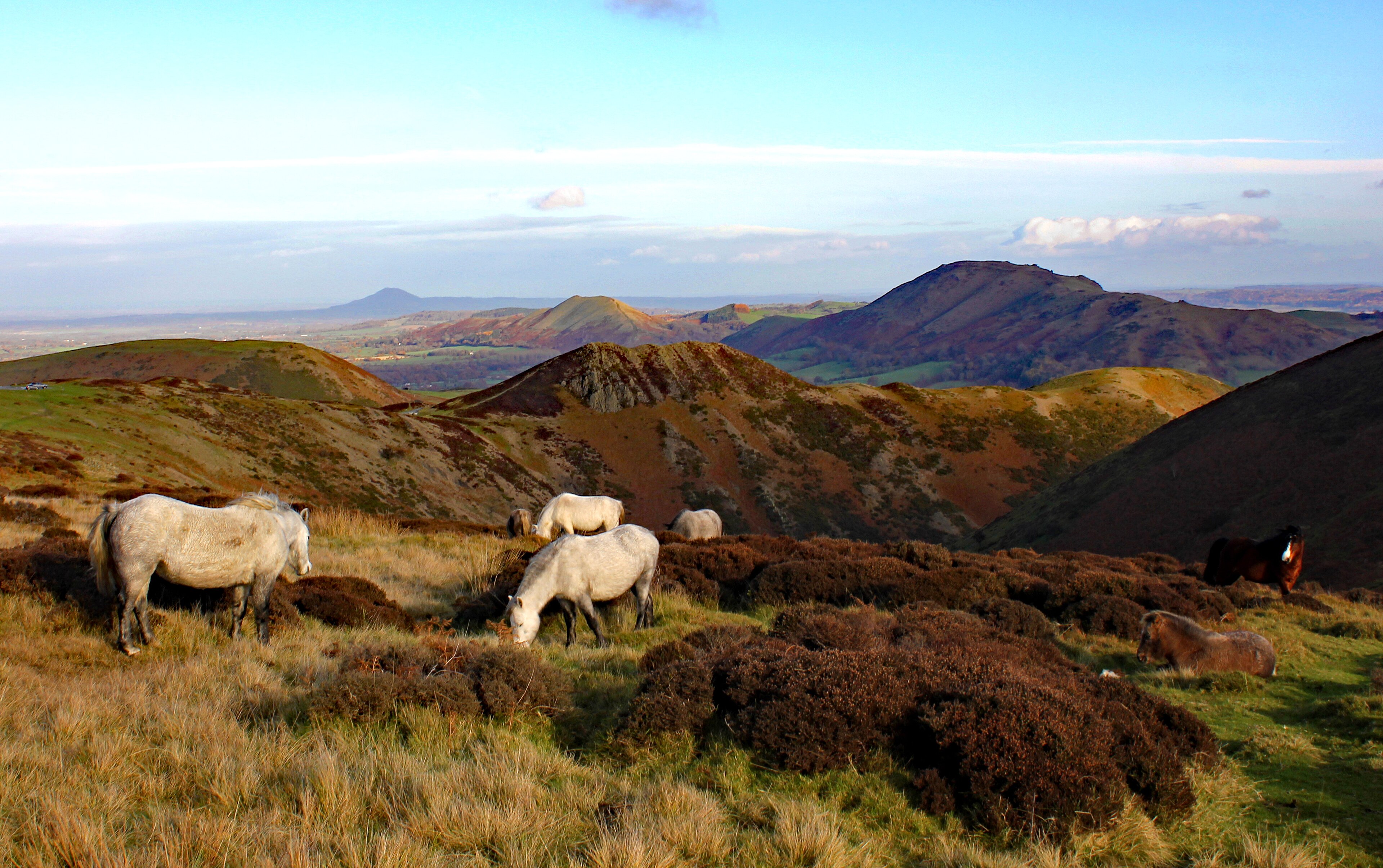 Shropshire