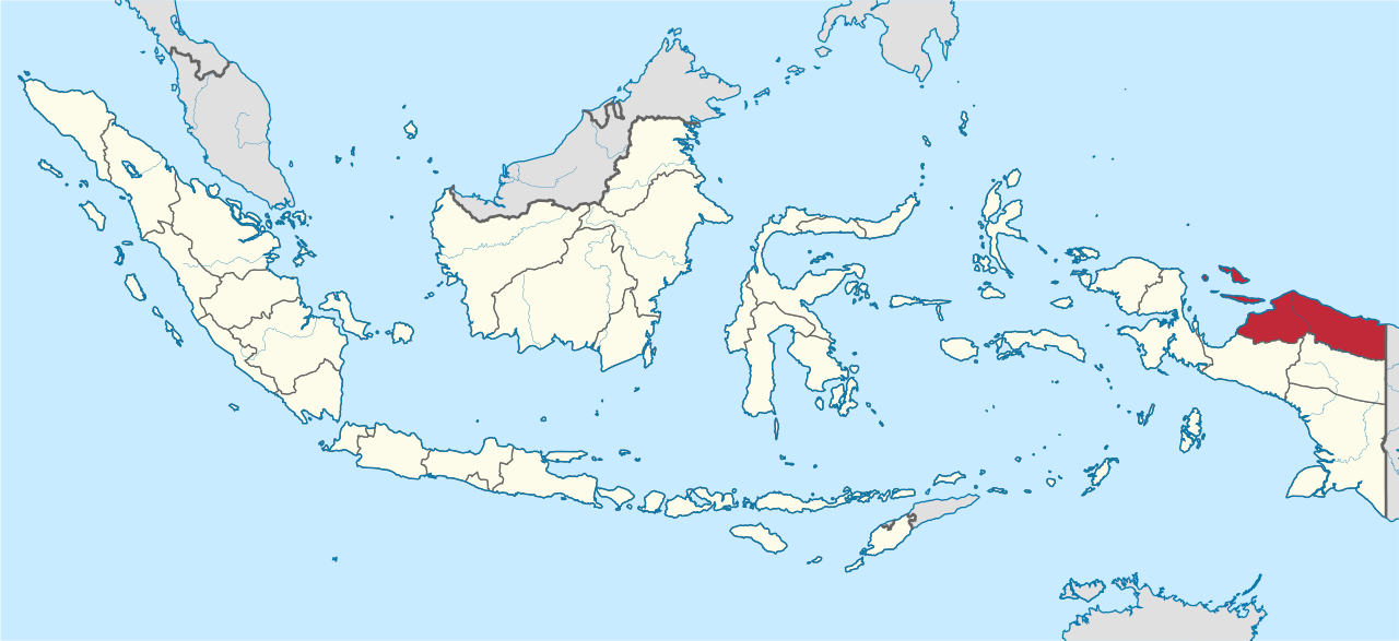 Papua (province)