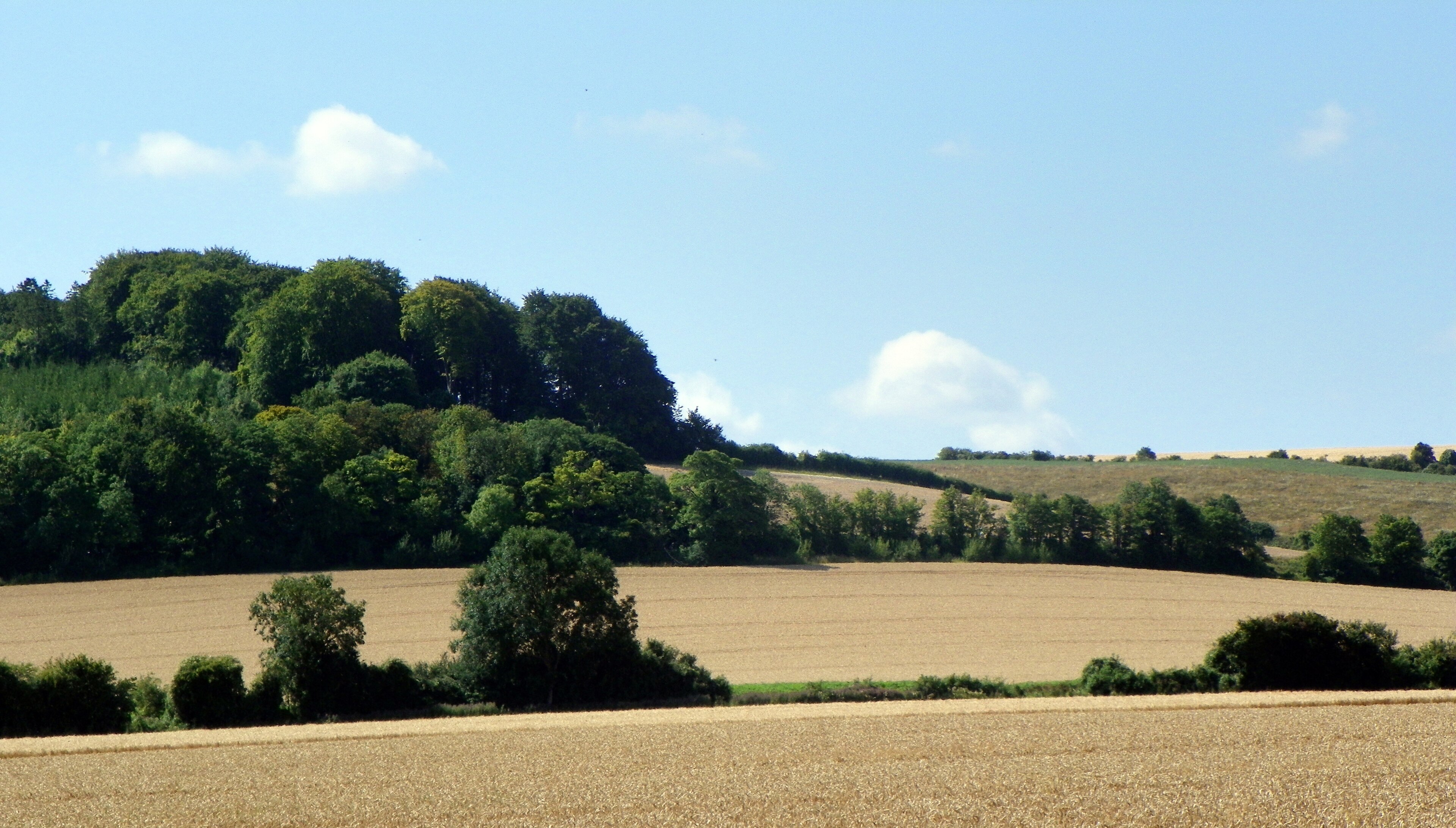 Hertfordshire